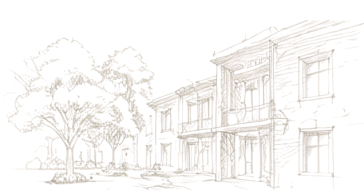 sketch